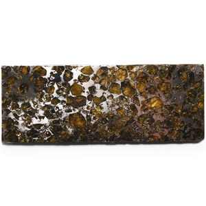 Natural History - Polished Seymchan Meteorite Slab