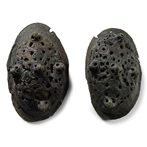 Bronze Tortoise Brooch Pair