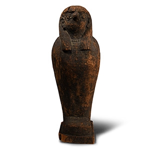 Wooden Sarcophagus with Falcon Mummy