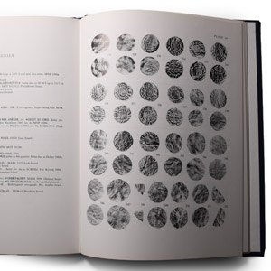 Sylloge of Coins of the British Isles 37 - Polish Museums - Anglo-Saxon and later medieval British Coins