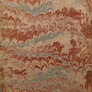 General Books - Breve Instrvzione Medica Sopra La Pietra, E Gotta