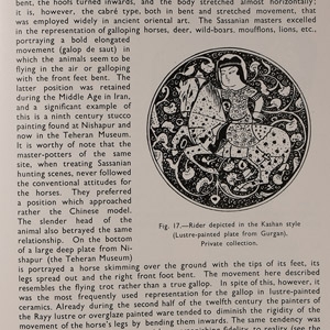 Archaeological Books - Gurgan Faiences