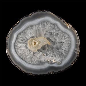 Natural History - Historic Cut and Polished Agate Geode Half