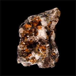 Natural History - Historic Mexico Wulfenite Mineral Specimen