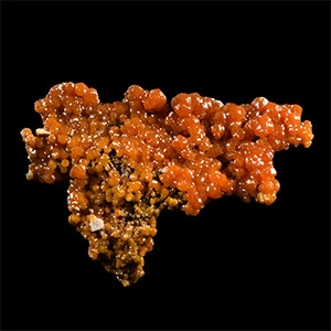 Natural History - Historic Bunker Hill Mine, Idaho Pyromorphite Mineral Specimen