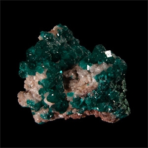 Natural History - Historic Tsumeb, South West Africa Dioptase Crystal Specimen