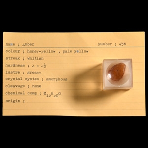 Natural History - Historic Amber Specimen with Fly