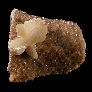 Natural History - Historic Deccan, India Stilbite on Heulandite Mineral Specimen