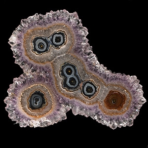 Natural History - Historic Owl on a Motorbike Agate in Amethyst Crystal Specimen