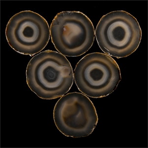 Natural History - Historic Agate Mineral Specimen Coaster Set