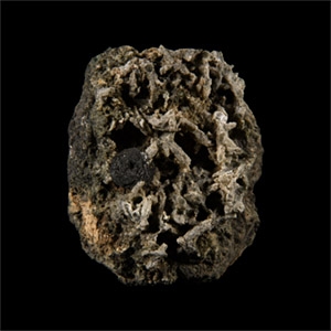 Natural History - Historic Switzerland Hematite on Actinolite Mineral Specimen