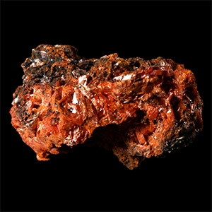 Natural History - Historic Dundas, Tasmania Crocoite Mineral Specimen