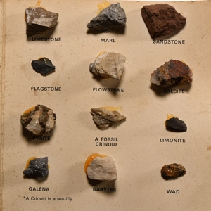 Natural History - Specimens Illustrating the Geology Around the Cheddar Caves Mineral Specimen Collection
