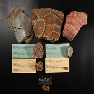Natural History - Mixed Mineral Specimen Group