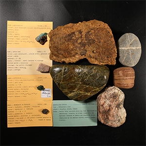 Natural History - Mixed Mineral Specimen Group
