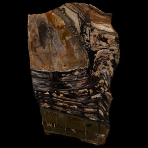 Natural History - Australia Polished Stromatolite Block