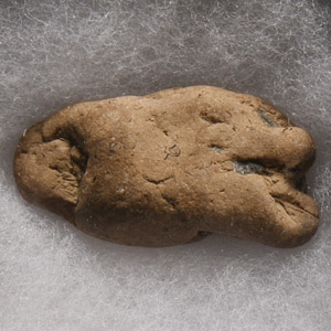 Natural History - Fossil Ichthyosaur Marine Dinosaur Coprolite