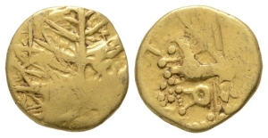 Celtic Gaul. Nervii(?) AV Stater.