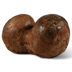 Natural History - Hadrosaur Dinosaur Egg Pair
