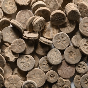 Egyptian Limestone Floral Inlay Group