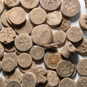 Egyptian Limestone Floral Inlay Group