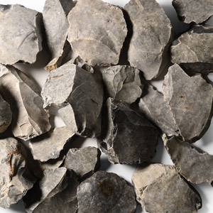 Group of Stone Age Flint Tools, Scrapers, Blades and Cores