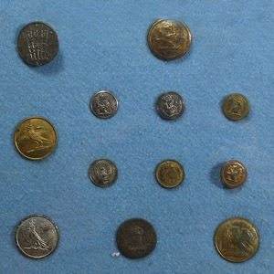 Cased Post Medieval Published Bronze Livery Button Collection