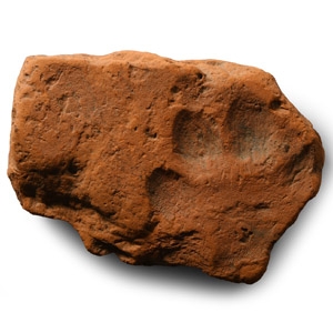 Roman Terracotta Roof Tile with Dogs Paw Print