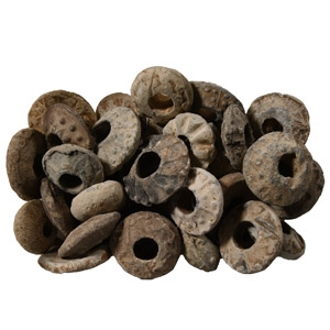 Medieval Lead Spindle Whorl Collection