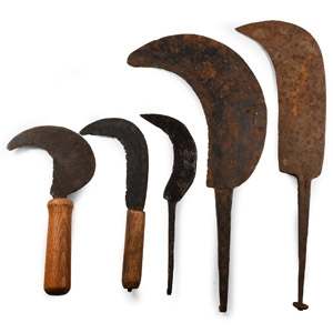 Post Medieval Iron Bill Hook and Tool Collection