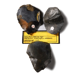 Large Stone Age Set of Tools Including a Re-worked Polished Axe from Farlington Marshes