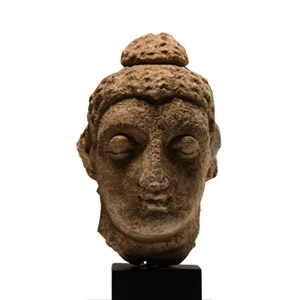 Gandharan Terracotta Head