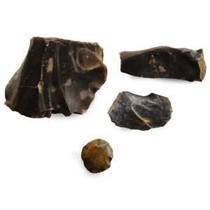 Stone Age Tool and Artefact Group