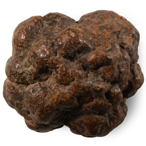 Natural History - Chondrite Meteorite