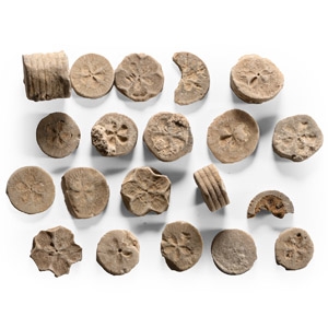 Egyptian Limestone Floral Inlay Group