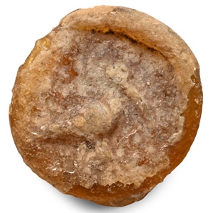 Late Roman Glass Pendant with Ibis