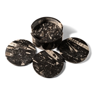 Natural History - Polished Fossil Orthoceras Coaster Set