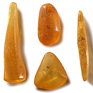 Natural History - Group of Polished Copal with Insects