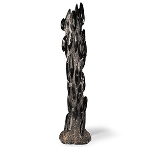 Natural History - Extremely Large Polished Fossil Orthoceras Display