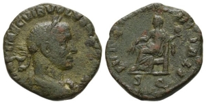 Volusian AE Mule As.