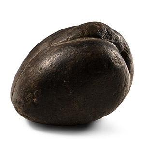 Neo Babylonian Black Stone Duck Weight