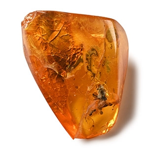 Polished Baltic Amber with Inclusions