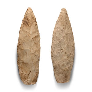 Native American Leaf-Shaped Stone Arrowhead Group