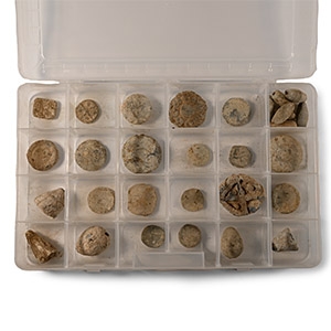 Medieval Lead Trade and Other Weight Collection