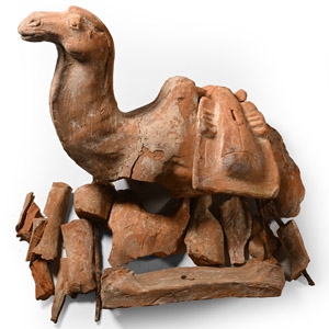 Chinese Tang Terracotta Camel Fragment Group