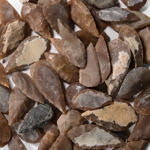 Stone Age Large Leaf-Shaped Arrowhead Collection
