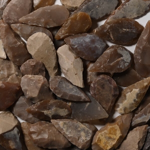 Stone Age Large Leaf-Shaped Arrowhead Collection