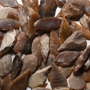 Stone Age Leaf-Shaped Arrowhead Collection