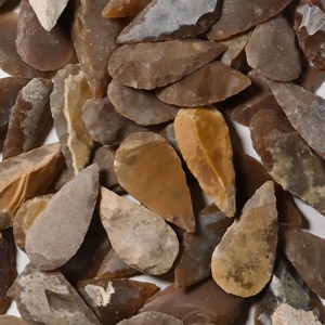 Stone Age Leaf-Shaped Arrowhead Collection