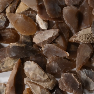 Stone Age Leaf-Shaped Arrowhead Collection